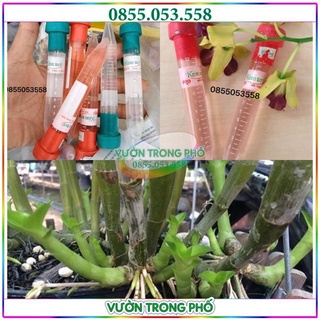 Chế phẩm siêu kích mầm chồi Keiki Duy Pro