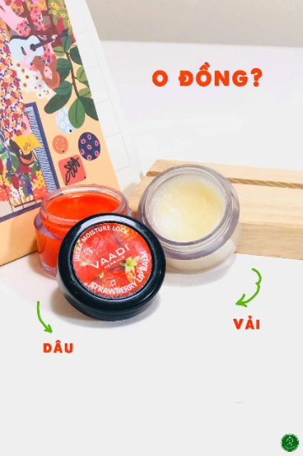 Son dưỡng môi lipbalm Vaddi 10g