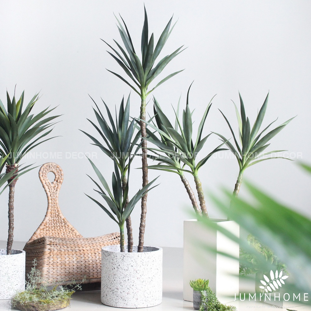 Cây giả, Cây thiết mộc lan giả, phát tài núi cao 180cm - Cây giả decor trang trí nhà cửa nội thất phòng khách phòng ngủ