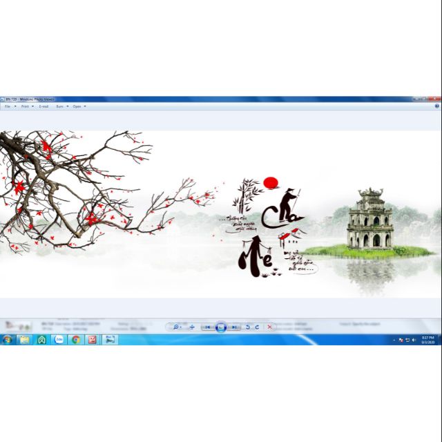 TRANH 3D DÁN  HỒ  CÁ ,BỂ  CÁ