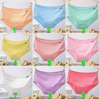 Quần Lót Pullo Hàng Xuất Khẩu (Hàng Xuất Khẩu) ( Hàng Loại 1 )