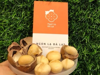 Hạt Macca Đà Lạt, Đặc Sản Ngon Lạ Đà Lạt