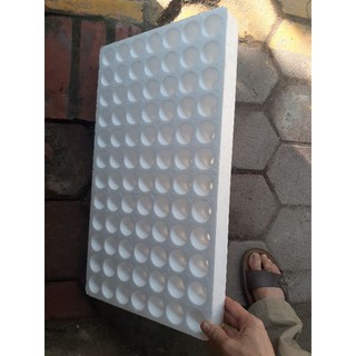1 KHAY XỐP ƯƠM HẠT 84 LỖ