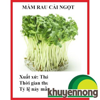20 gram hạt giống mầm rau cải ngọt