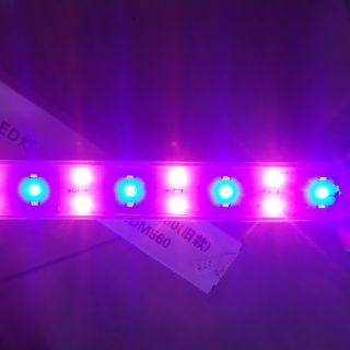 Đèn Led 3 chế độ màu cho bể MJ - 560 (bể đúc Minjiang 560)