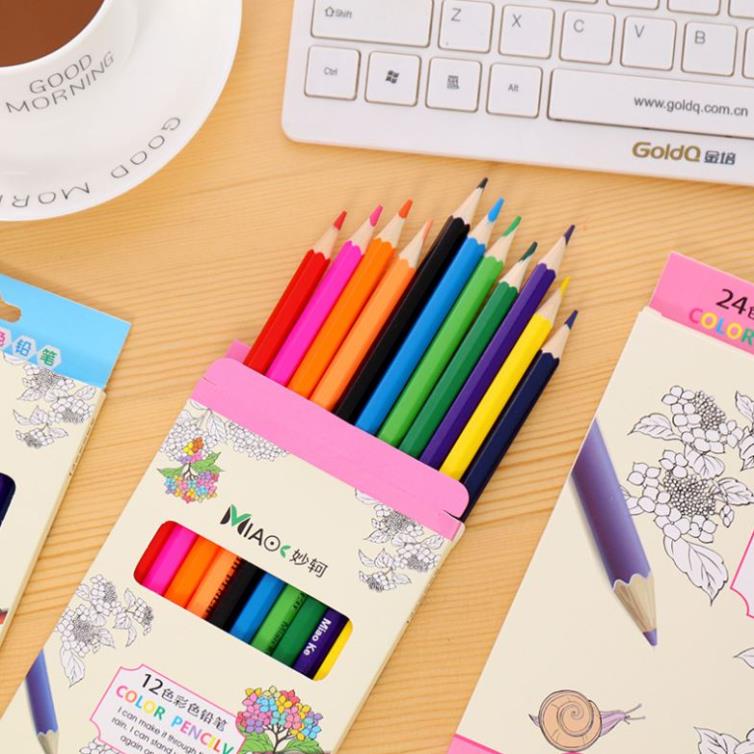Bộ 12/ 24 bút chì màu vẽ thủ công dành cho trường học H134