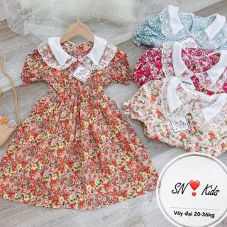 Váy bé 253k huệ bích
