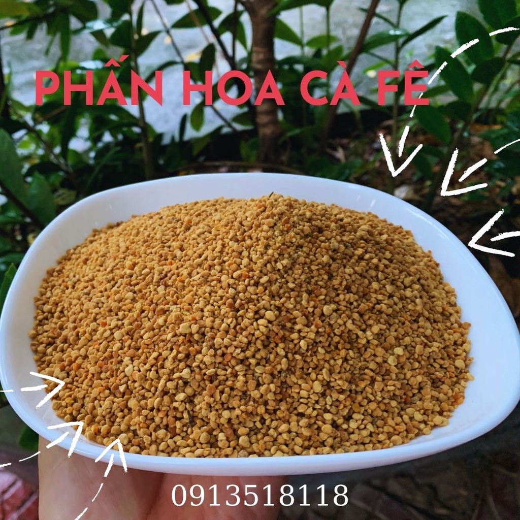 1kg phấn hoa, phấn ong cho ong mật ăn