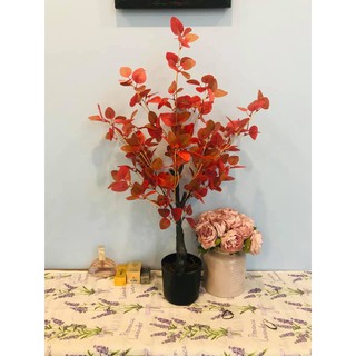 Cây Giả - Cây Bạch đàn lá đỏ Giả - Cao 80cm