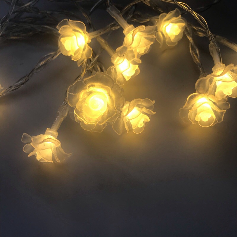 Dây đèn LED 10/20 bóng hình hoa trang trí tiệc cưới
