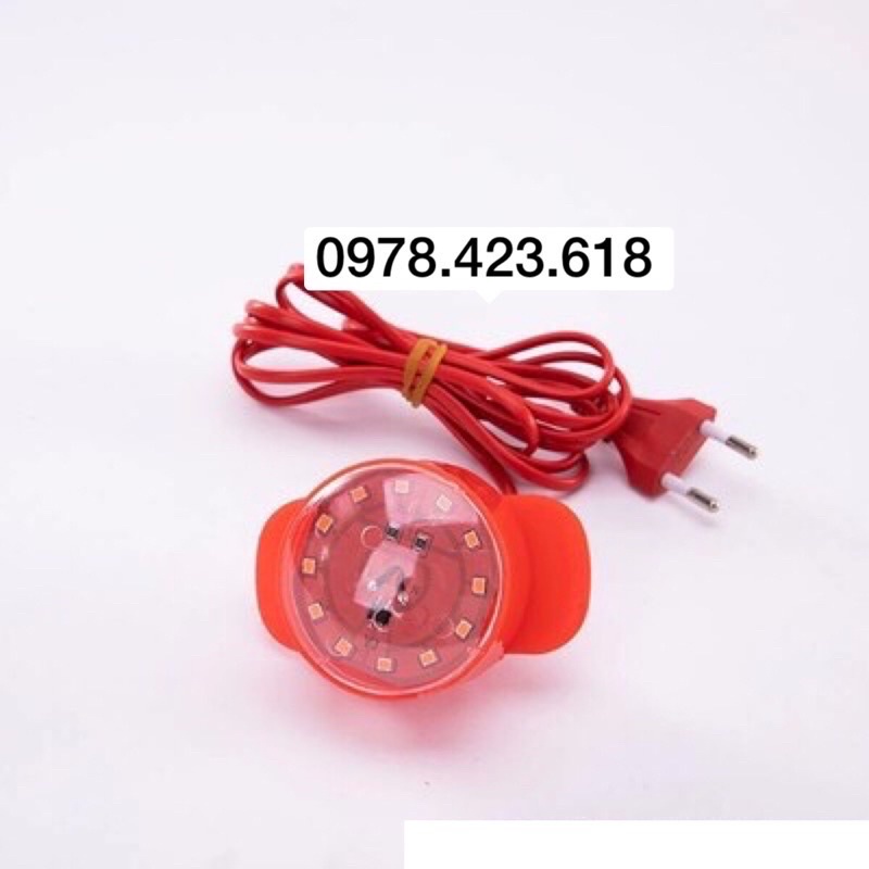 Đèn lồng Hoa đào - đèn lồng Nhật Bản - đèn lồng vải tròn trang trí Tết Đỏ (1 Cái) - kèm tua nhỏ