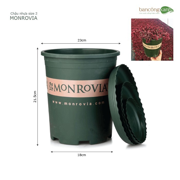 Chậu nhựa trồng cây cao cấp MONROVIA cỡ số 7 dung tích  7Gallon (38x40cm)