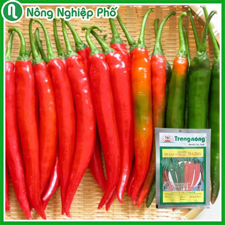 GÓI 1 GRAM - HẠT GIỐNG ỚT CHILLI TN 20A