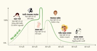 [Bao bì mới] TỐ NỮ HOÀNG SÂM