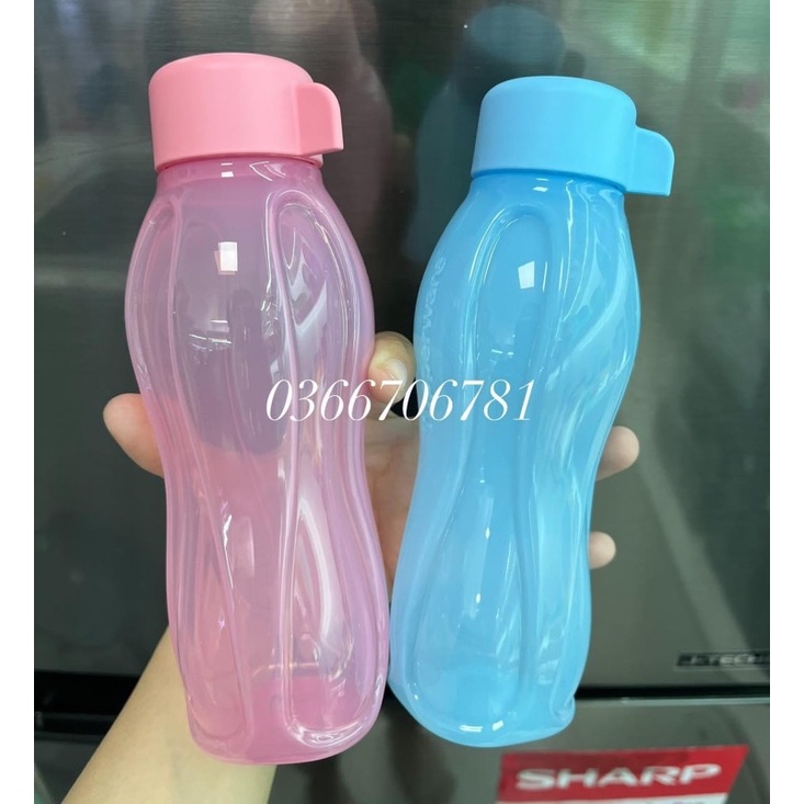 Bình nước Eco Bottle 310ml