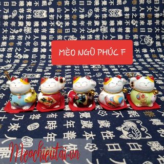 SET 5 MÈO MAY MẮN THẢM ĐỎ 4CM