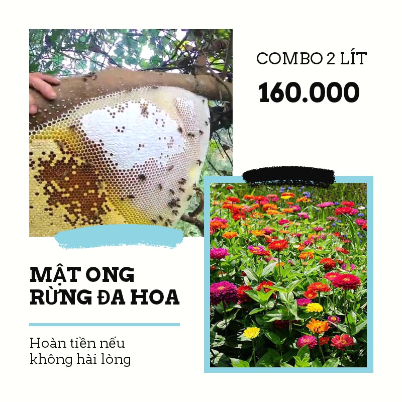 Mật ong rừng đa hoa nguyên chất - Hoàn tiền nếu phát hiện mật ong giả