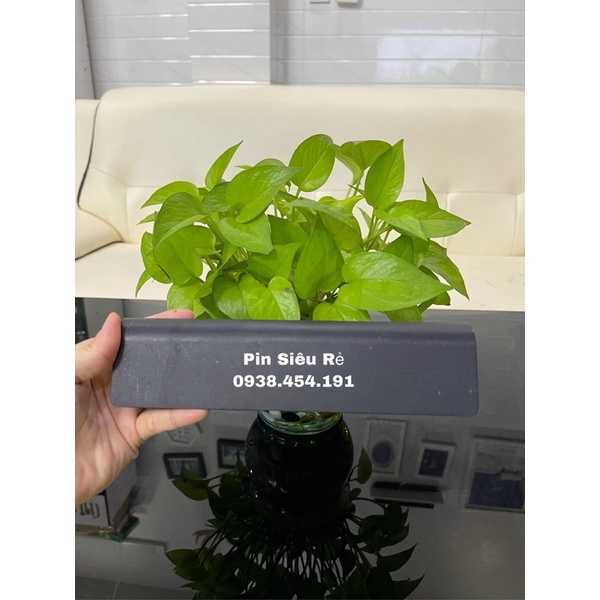 Pin Hp Compaq Cq32, Cq42, Cq43, Cq56, Cq62, Cq72, Cq430, Cq630