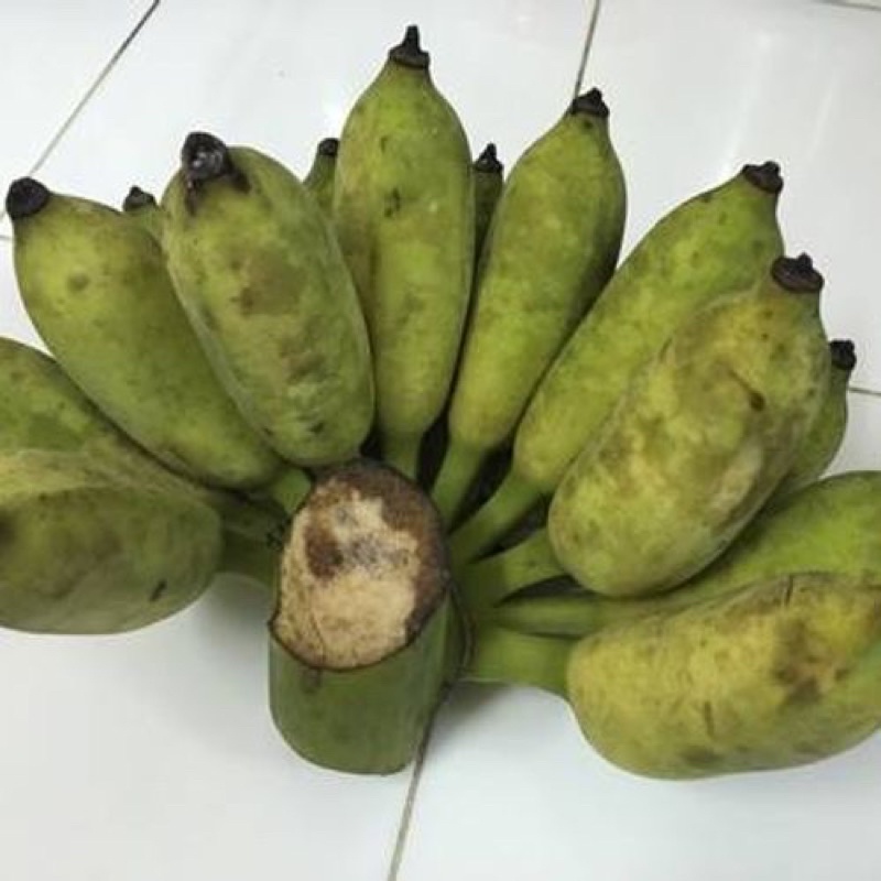 Chuối sứ (chuối xiêm) ship liền 1kg