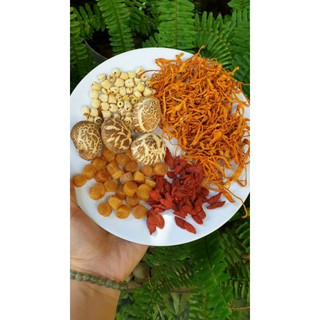 Set Canh dưỡng sinh cồi sò điệp bông trùng thảo