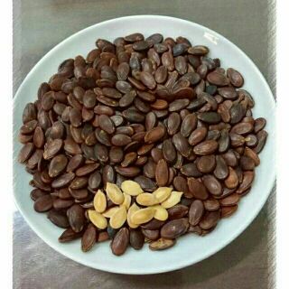 1kg hạt dưa 140k