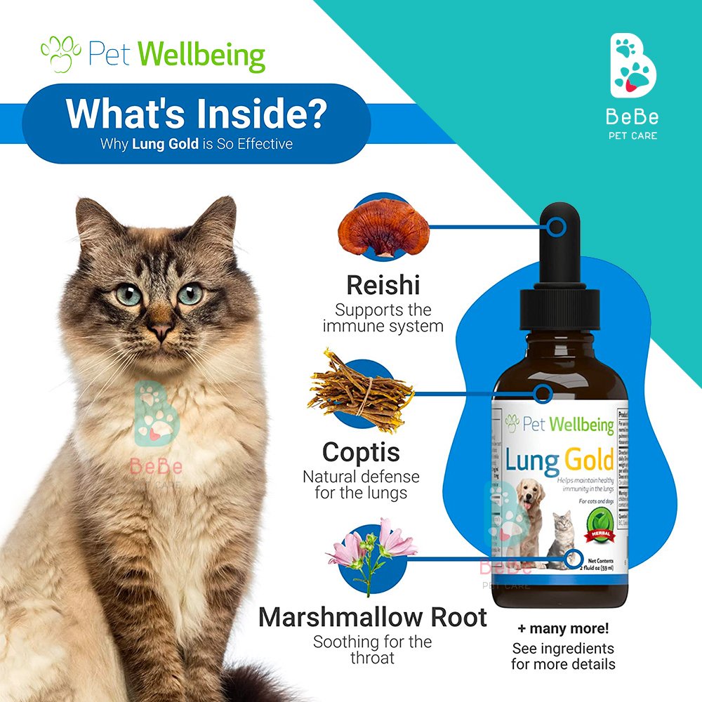 PET WELLBEING Lung Gold - Sản Phẩm Hỗ Trợ Chức Năng Phổi Cho Chó Mèo - Nhập Khẩu Từ Mỹ