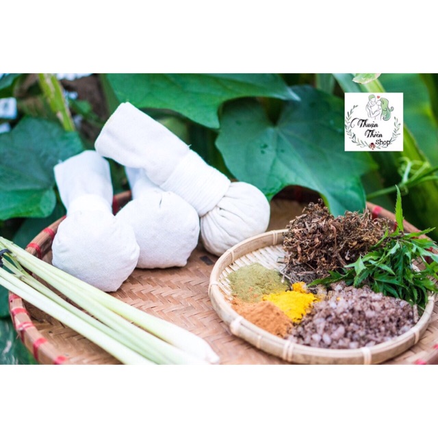 Cây Muối Chườm Mắt Thảo Dược Giúp Da Thư Giãn, Tăng Tuần Hoàn, Giảm Vết Sưng
