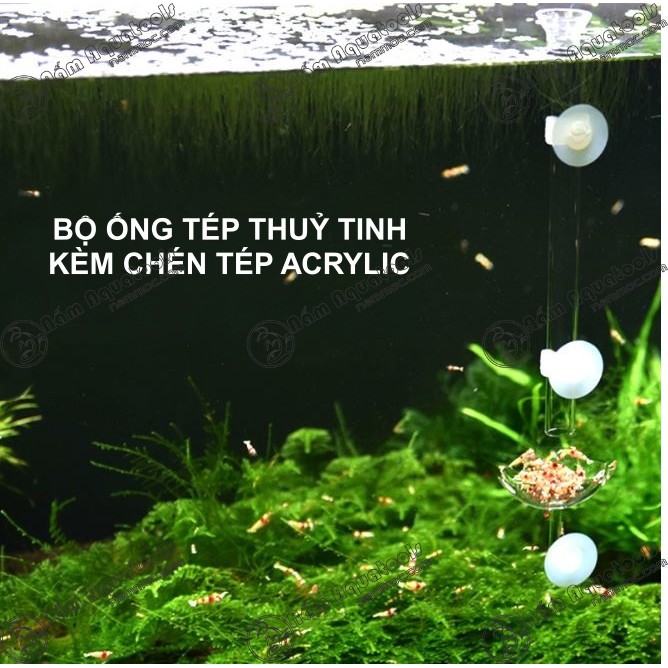 ☘ COMBO Ống Tép Thuỷ Tinh Kèm Chén Tép HOA SEN ☘ Bộ Chén Ống Tép ☘ Phụ Kiện Cho Tép Ăn
