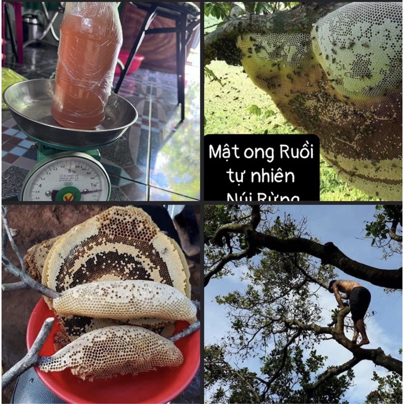 1L Mật Ong Rừng Tự Nhiên,Mật Ong Ruồi Núi Rừng [Số lượng Rất Ít]