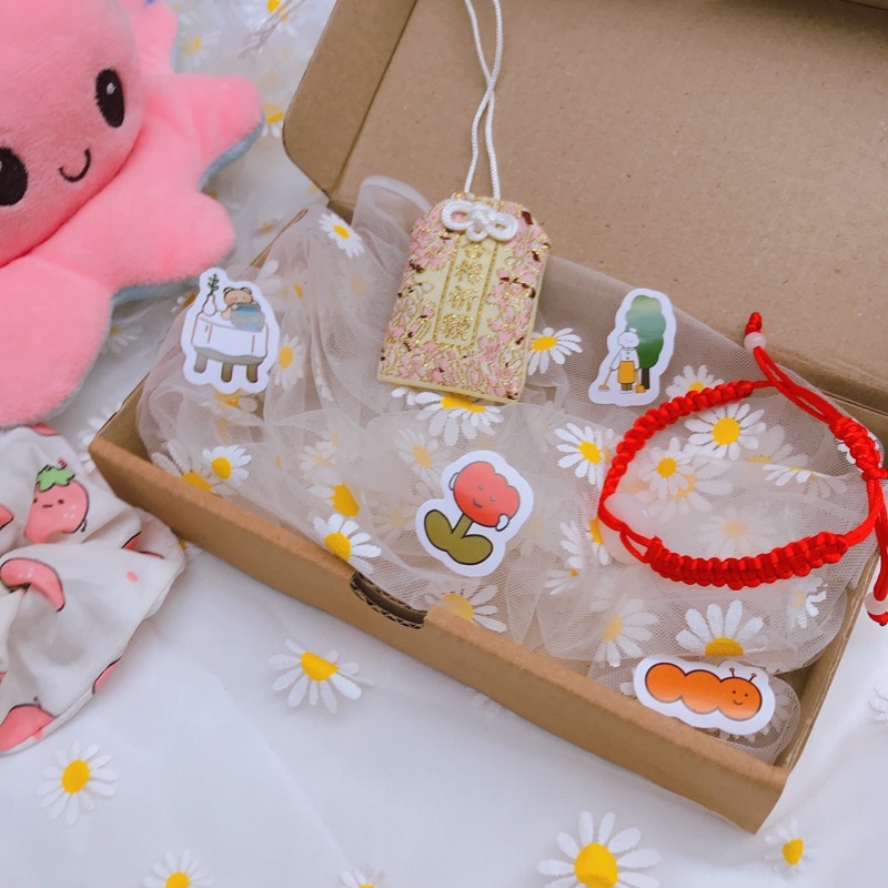 Túi cầu may Thi cử ( tặng kèm vòng tay chỉ đỏ may mắn cầu an )