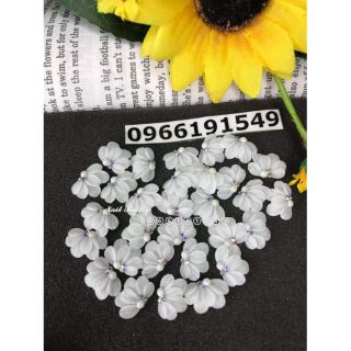 Hoa bột cúc ruby đính móng