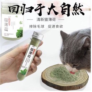 Catnip cho mèo