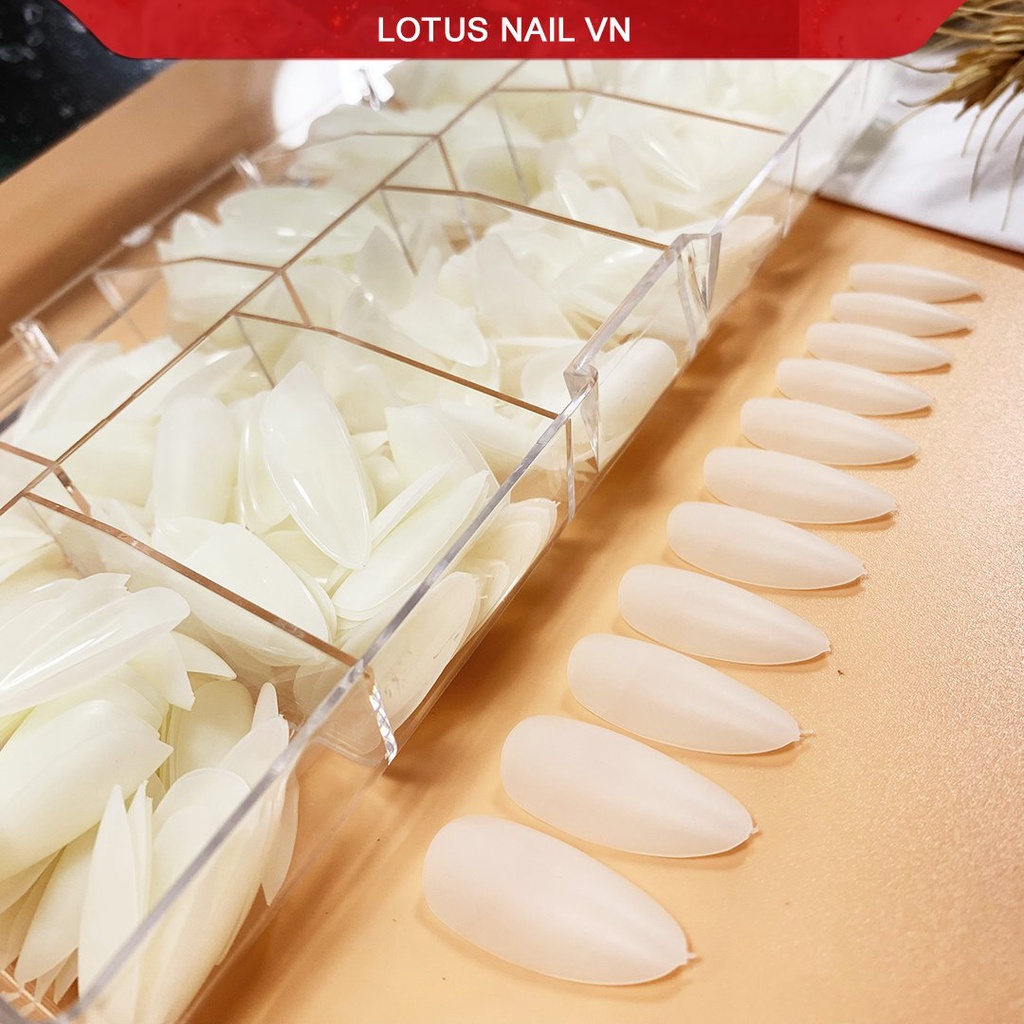 Móng úp Lotus nhám sẵn bề mặt, đủ các loại phom, size từ 0-9