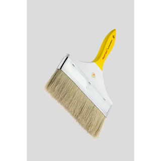 Cây Cọ Bản Thanh Bình 8 Inch