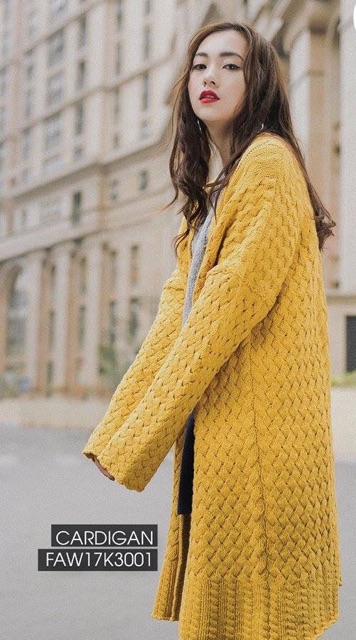 Áo cardigan new tag pass