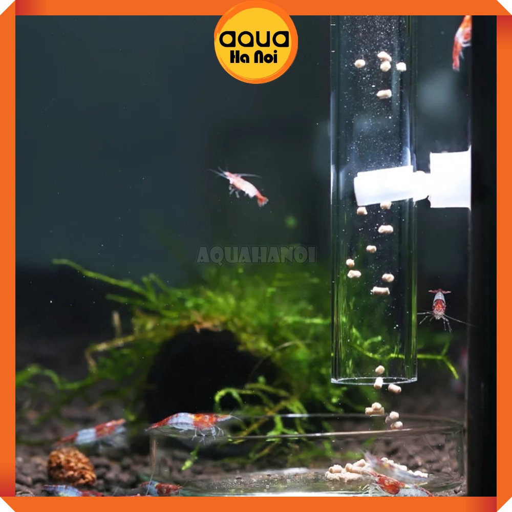 Ống thủy tinh cao cấp cho cá tép ăn - hạn chế sán, bọ nước - dài 25/30/40 cm