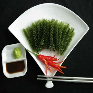 RONG NHO 200GR