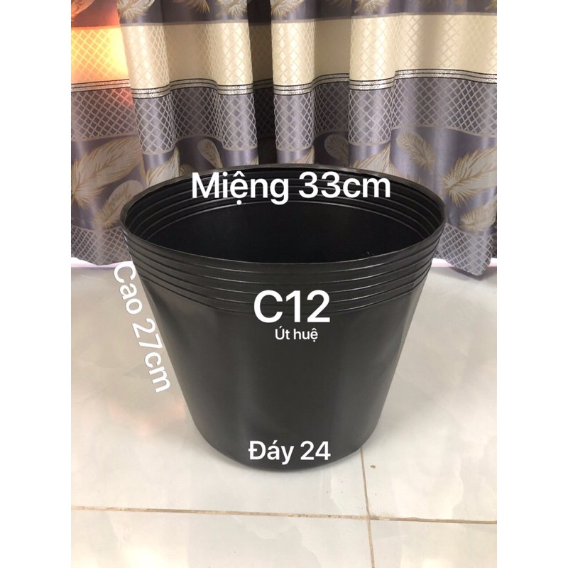 chậu nhựa đen trồng hoa C12