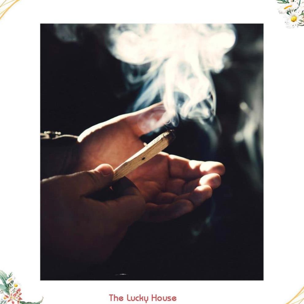 💟 GIÁ SIÊU TỐT💟 Gỗ Thánh Palo Santo dài 10cm - Thảo mộc xông nhà
