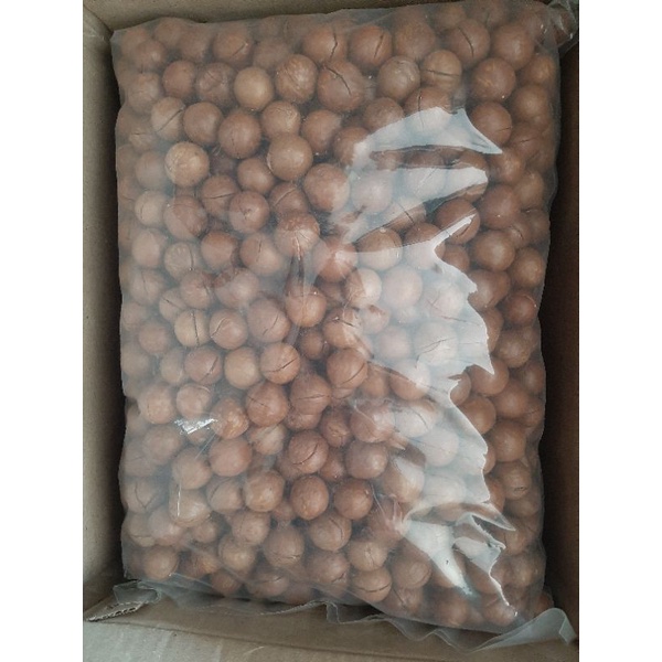 Hạt Macca Tây Nguyên Sấy Nứt Vỏ 500gr - FREESHIP ĐƠN TỪ 50K