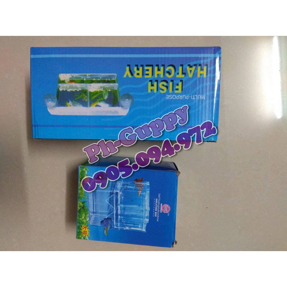 Lồng đẻ đơn cá cảnh