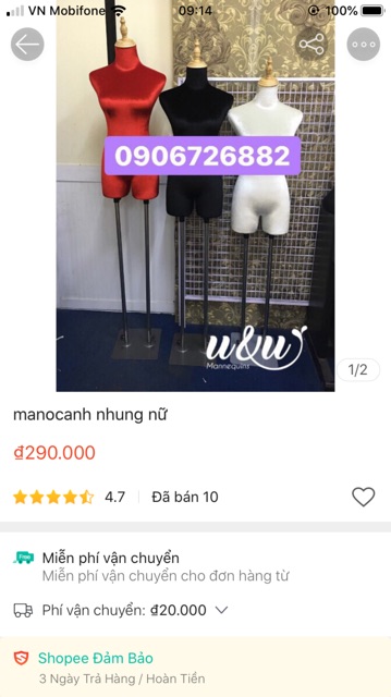 Combo Manocanh nam, nữ mặc đồ lót
