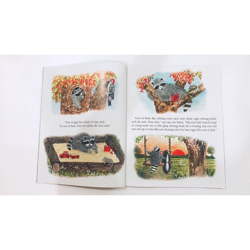 Sách -6 Cuốn Picture book song ngữ Gấu mèo Chester: Nụ Hôn trên bàn tay, Quả sồi đong đầy kỉ niệm.. - Quảng Văn