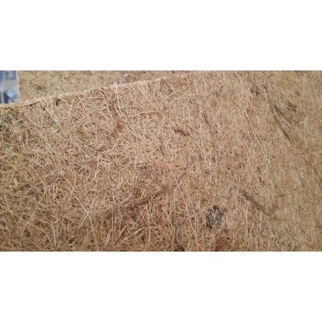 [SIEURE] Thảm xơ dừa trồng lan loại tốt 50x50 cm hàng đẹp, phân phối chuyên nghiệp.