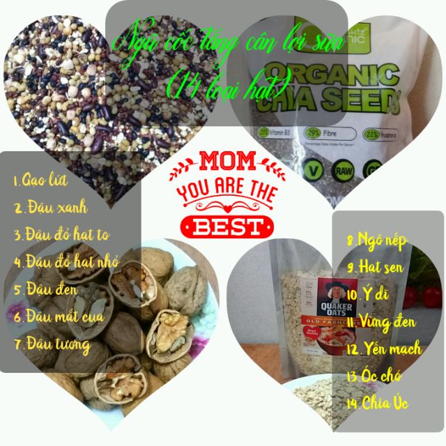 Hạt nghiền tăng cân lợi sữa | BigBuy360 - bigbuy360.vn