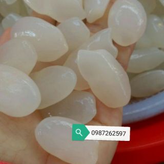 1kg Hạt đác Nha trang size lớn