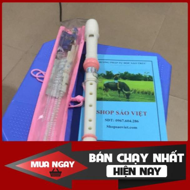 Sáo nhựa dọc sản phẩm bán chạy nhất