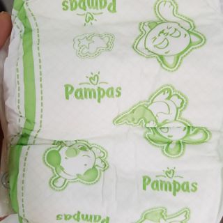 BỈM DÁN TRẦN PAMPAS M10/L9/XL8