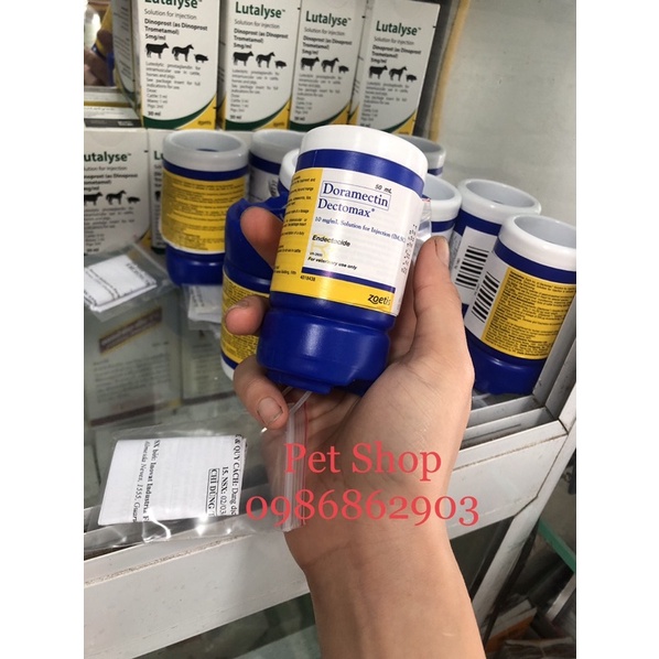 Doramectin ve ghẻ cho thú cảnh, chó , mèo lọ 50ml