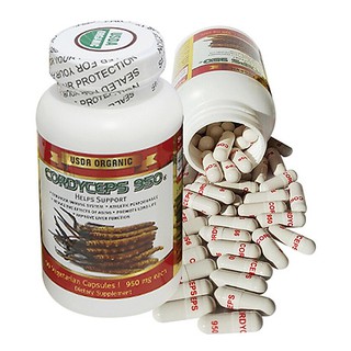 [ Hàng Chính Hãng ] Cordyceps 950mg Viên Chiết Xuất Đông Trùng Hạ Thảo Nhập Khẩu Từ Mỹ